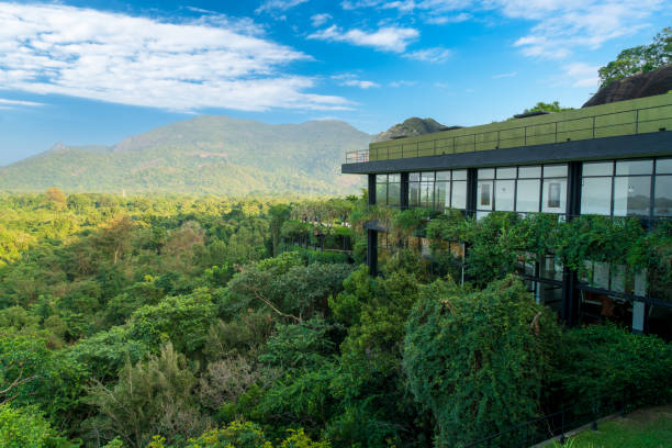 Dambulla, Sri Lanka - January 24, 2024: The Heritance Kandalama, a green castle embraced by green vines, nestled on a mountain.