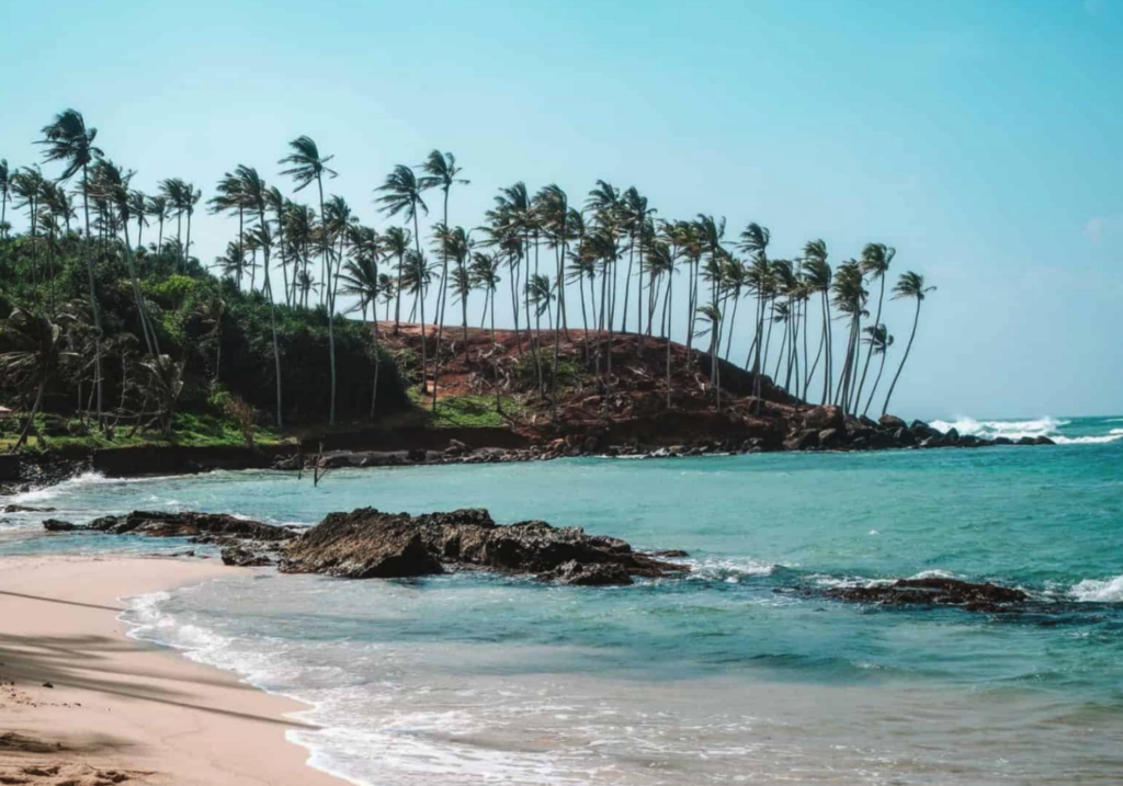 Mirissa beach resort