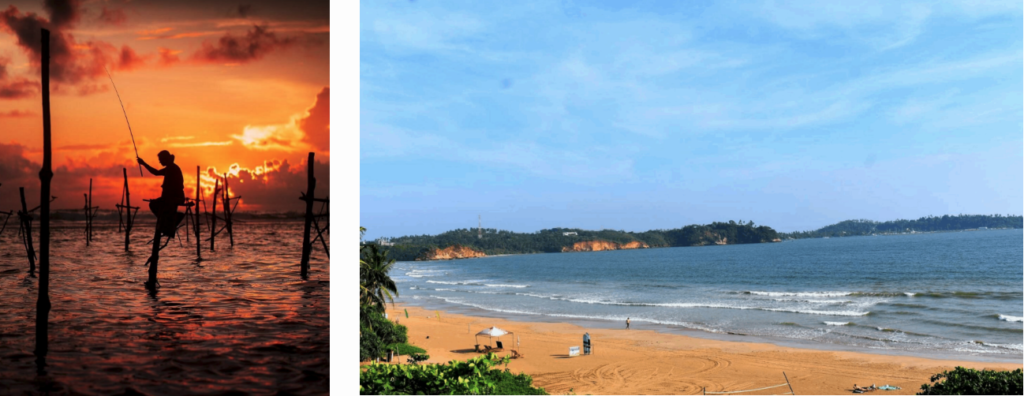 Weligama Beach and Surfing