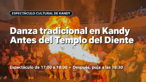 Danza en Kandy: espectáculo antes de visitar el Templo del Diente