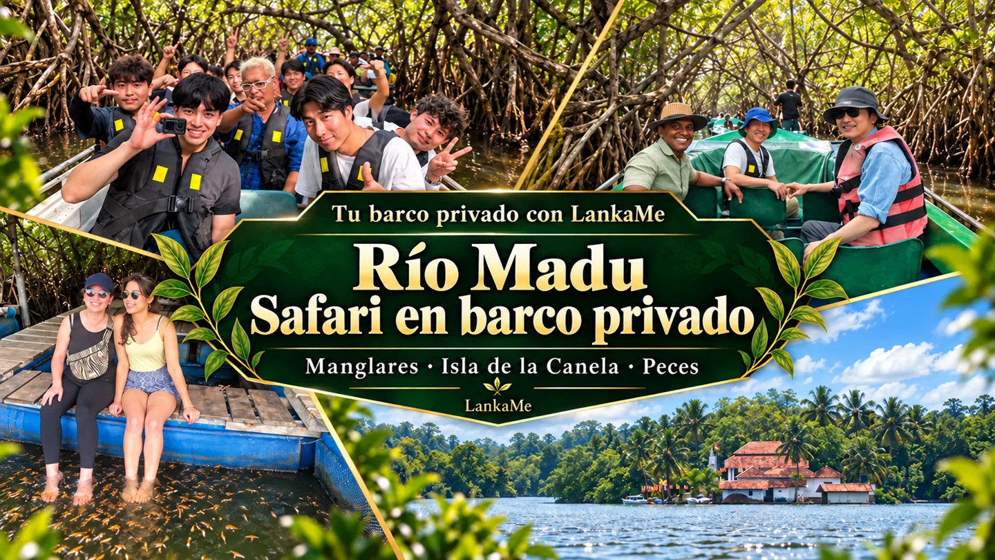 Safari en barco privado por el río Madu con LankaMe: manglares, Isla de la Canela y peces
