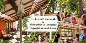 Visite privée de Lunuganga avec LankaMe, jardin de Geoffrey Bawa à Bentota