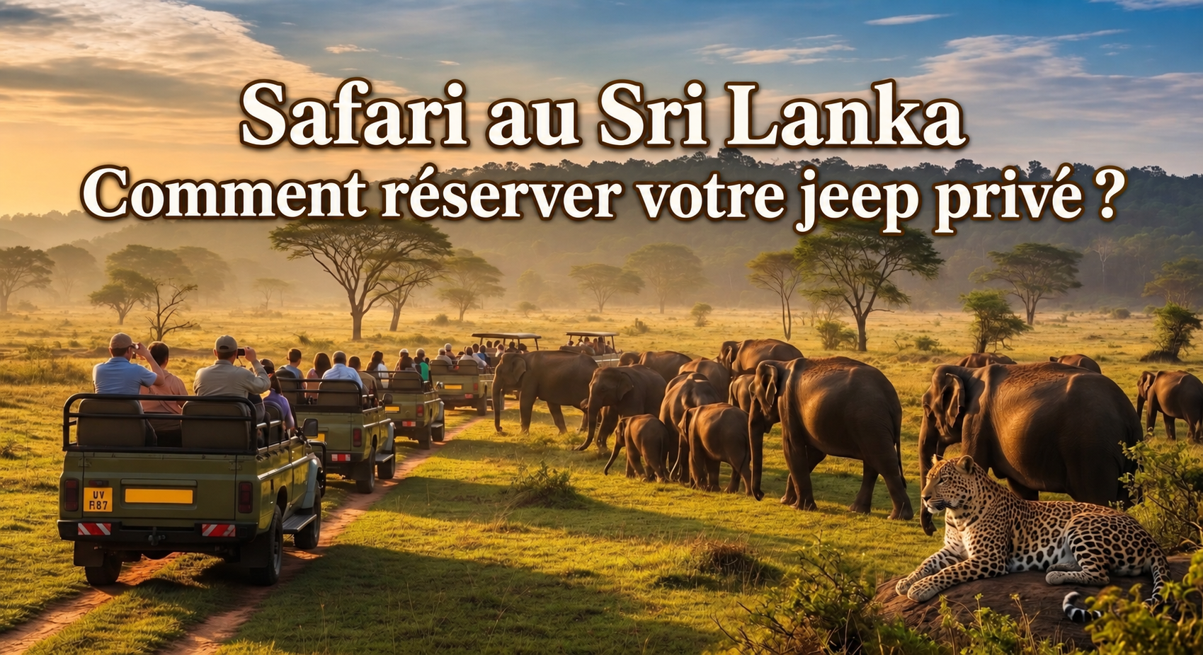 Safari au Sri Lanka : jeep privé et éléphants au coucher du soleil