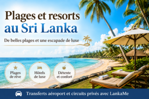 Plages et resorts au Sri Lanka