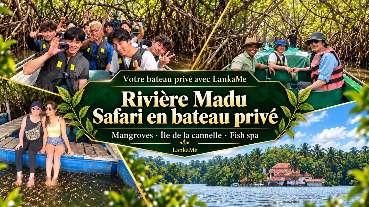Safari en bateau privé sur la rivière Madu avec LankaMe : mangroves, île de la cannelle et fish spa