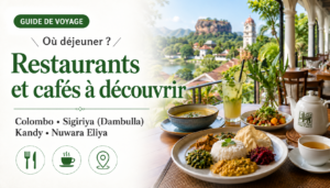 Restaurants et cafés au Sri Lanka : Colombo, Sigiriya, Kandy et Nuwara Eliya