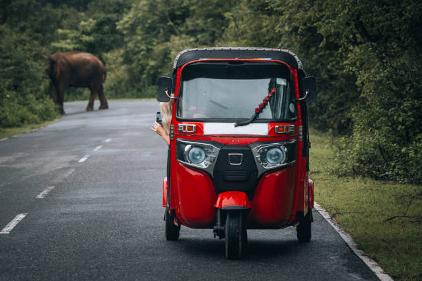 A young woman taking photos from a distance, from a tuk-tuk vehicle, of a wild elephant crossing the road.
Traveling through Sri Lanka with a rented tuktuk.