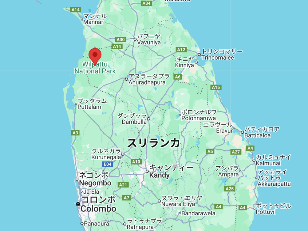 ウィルパトゥ国立公園
