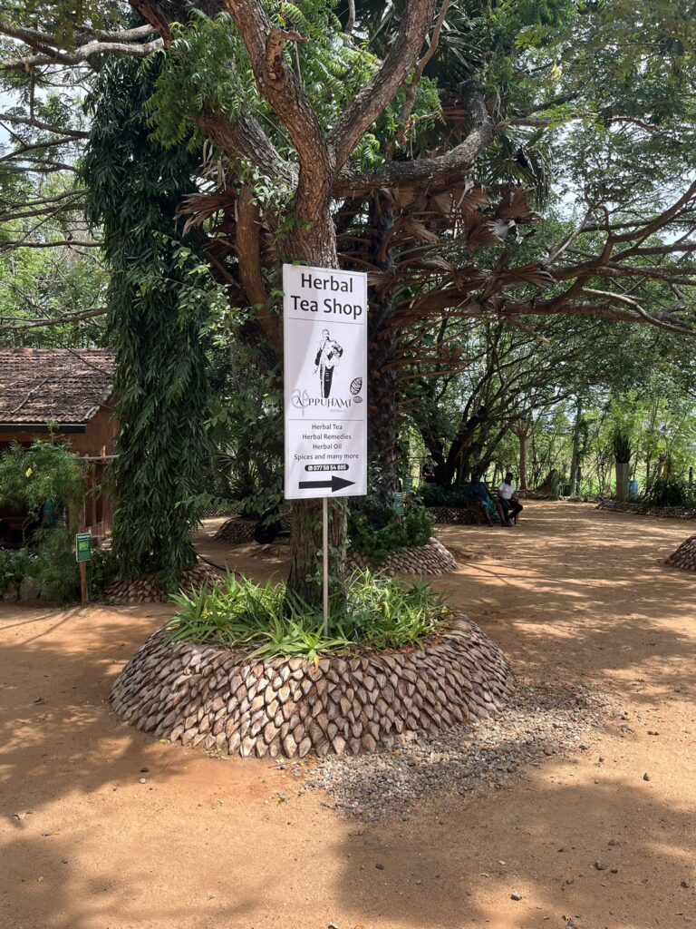 スパイスガーデン