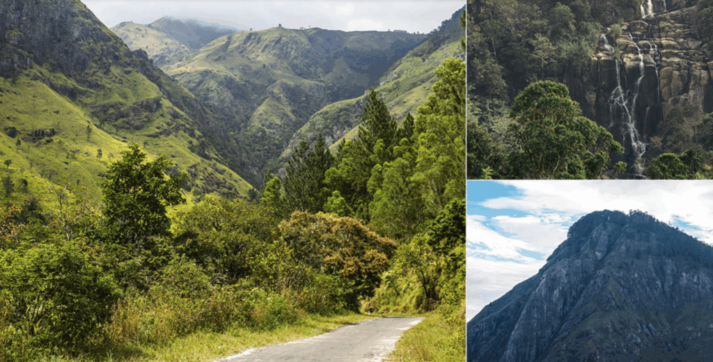 エッラ・ロック（Ella Rock）