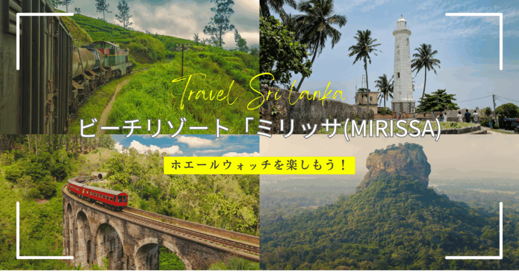 【ホエールウォッチング完全ガイド】スリランカのミリッサ(Mirissa)でクジラと泳ぐ旅！おすすめのビーチリゾートホテルも合わせて紹介！