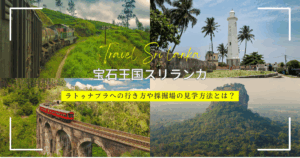 スリランカ観光地ランキングTOP20!絶景と世界遺産からビーチまで一挙紹介!