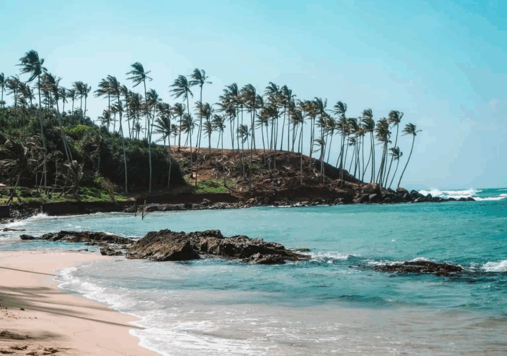 ミリッサのビーチリゾート