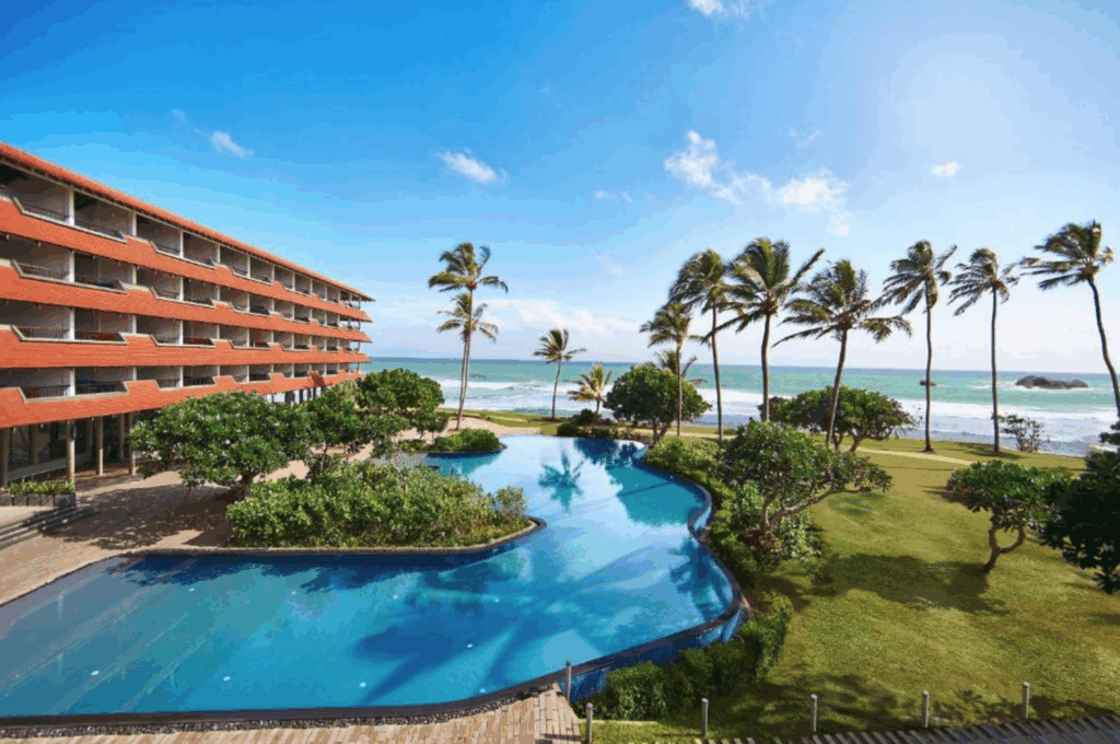 ヒッカ トランズ バイ シナモン (Hikka Tranz by Cinnamon) 