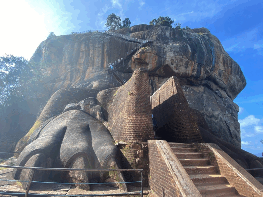 ライオンテラス