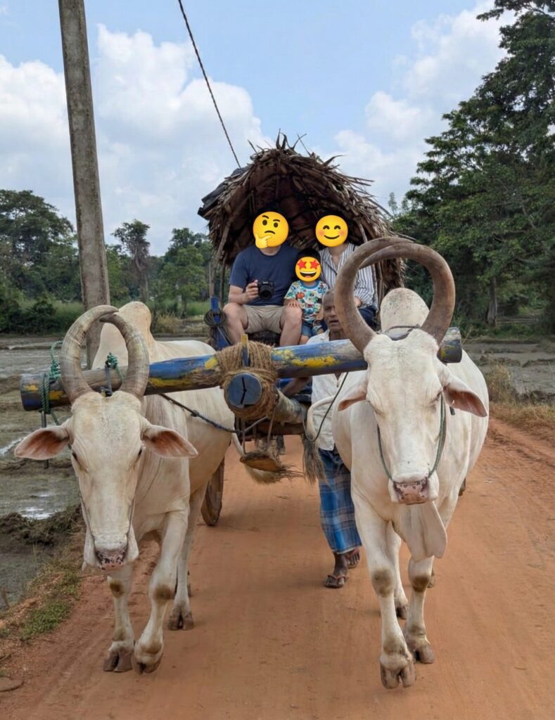 水牛の牛車でシーギリヤ村を練り歩き