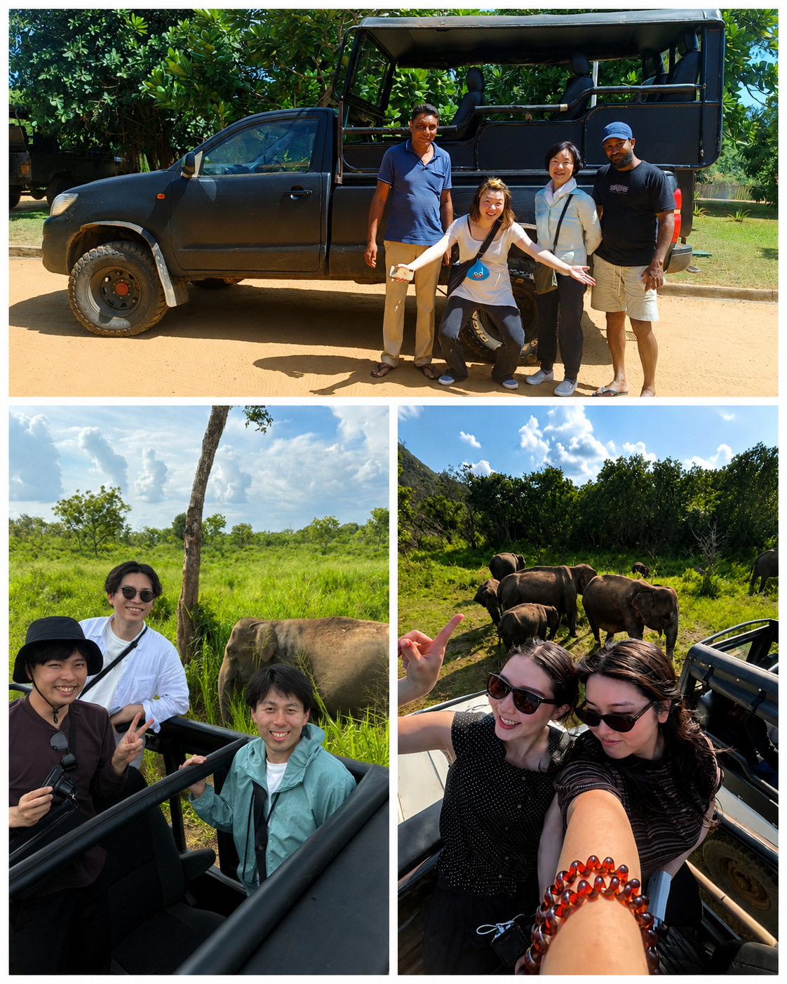 Safari mit LankaMe in die Rundreise einbauen
