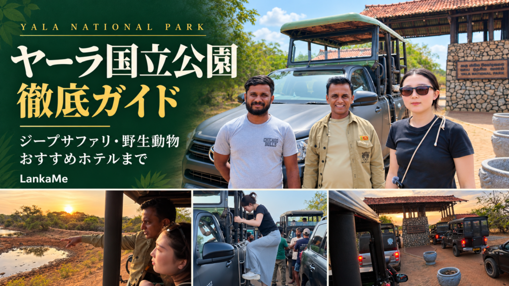 スリランカヒョウの宝庫「ヤーラ国立公園」徹底ガイド！おすすめのホテルやジープツアーとは？
