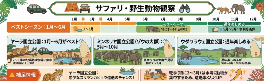 スリランカのサファリのベストシーズン