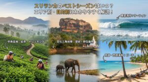 スリランカのベストシーズンはいつ？エリア別・目的別にわかりやすく解説！