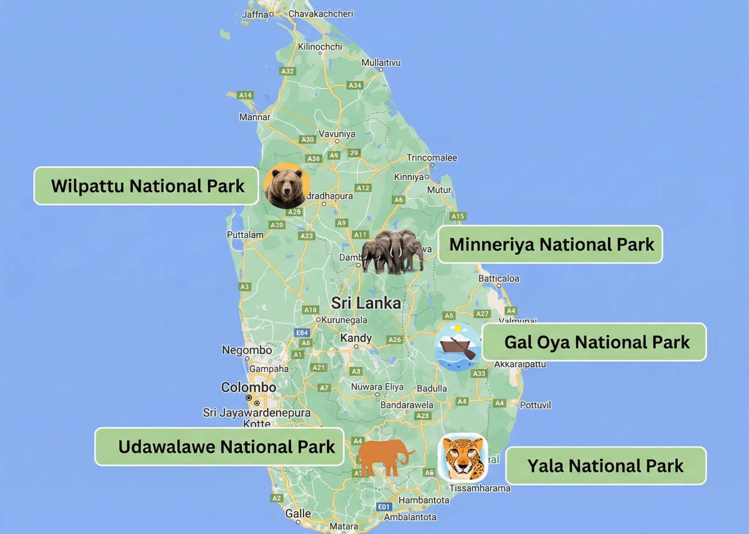 スリランカのサファリ