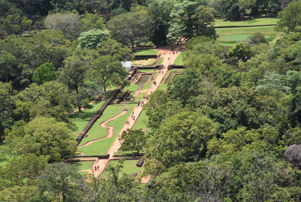 ウォーターガーデン