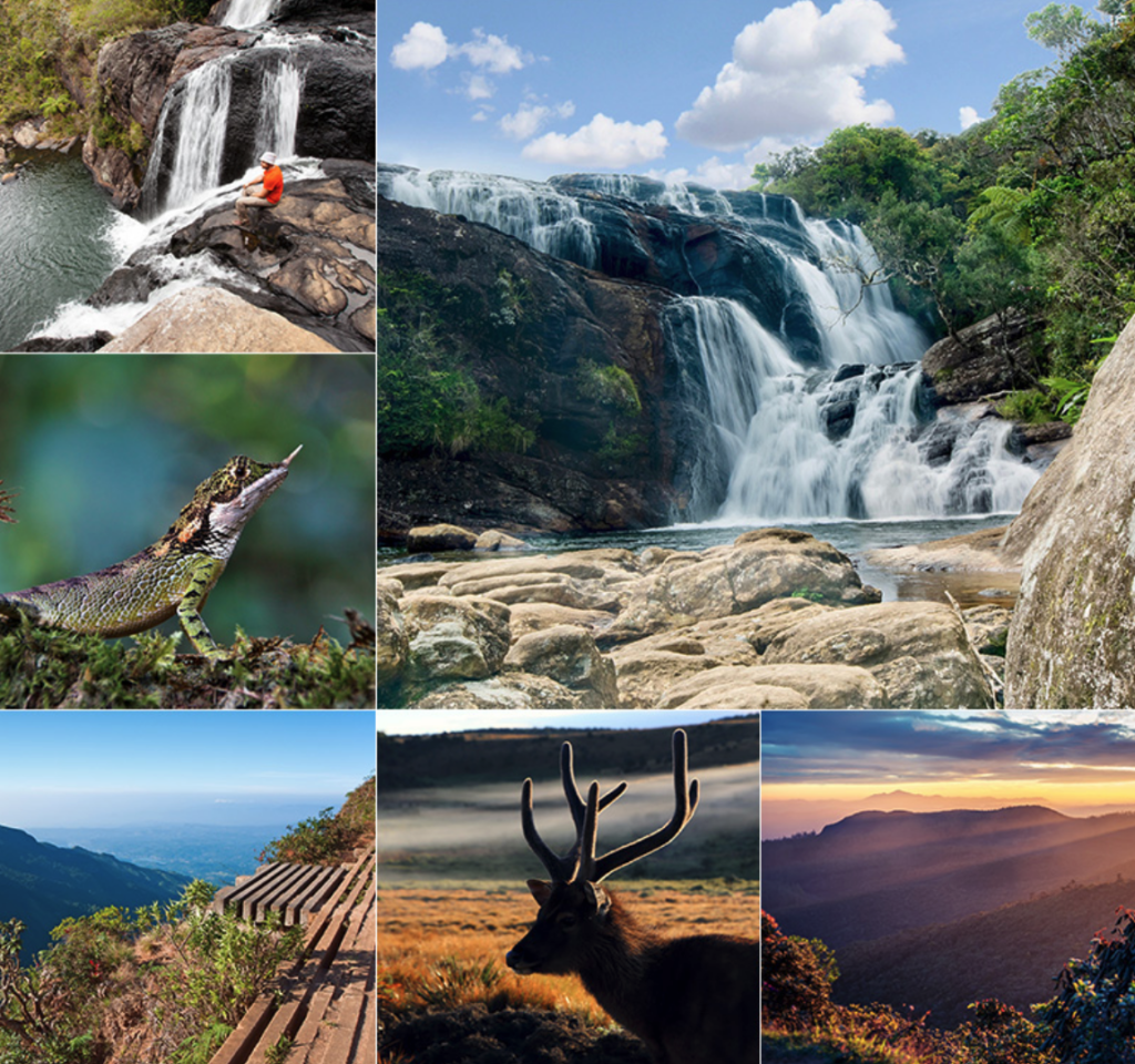 ホートン・プレインズ国立公園