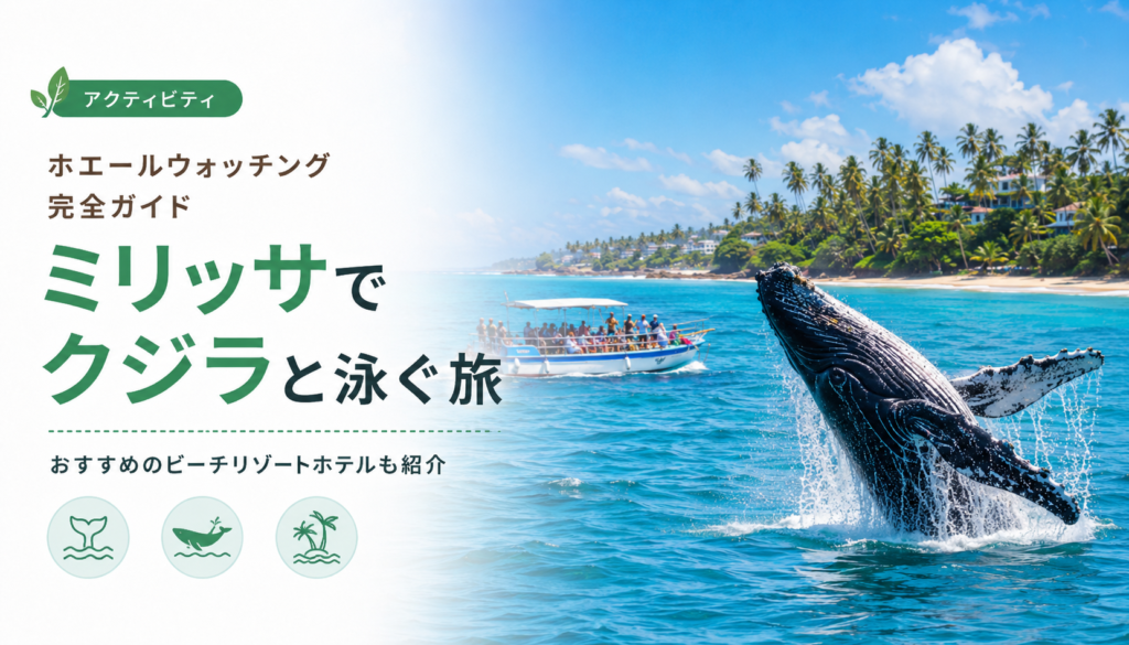 【ホエールウォッチング完全ガイド】スリランカのミリッサ(Mirissa)でクジラと泳ぐ旅！おすすめのビーチリゾートホテルも合わせて紹介！