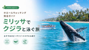 【ホエールウォッチング完全ガイド】スリランカのミリッサ(Mirissa)でクジラと泳ぐ旅!おすすめのビーチリゾートホテルも合わせて紹介!