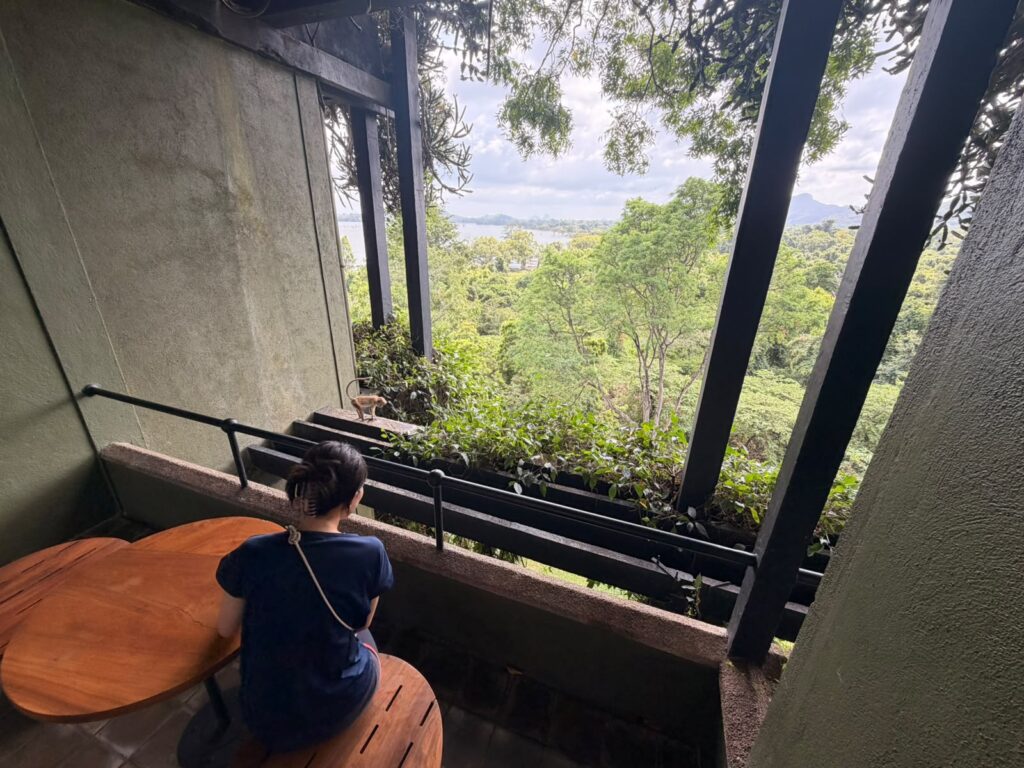 ヘリタンスカンダラマからの眺望