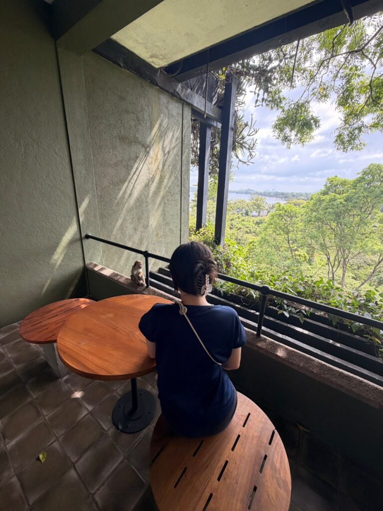 ヘリタンスカンダラマからの景色