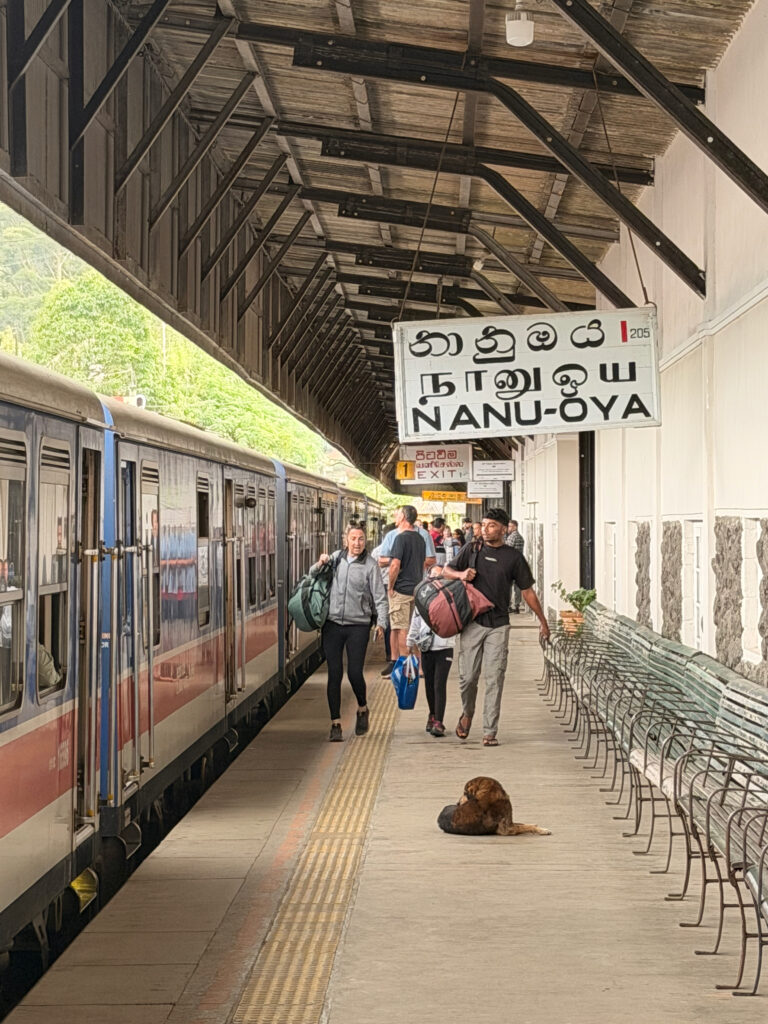 ナヌオヤ駅