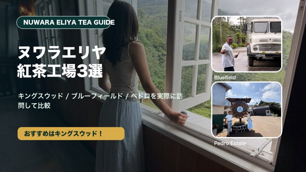 ヌワラエリヤの紅茶工場3選を比較するアイキャッチ画像