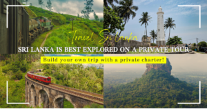 Sri Lanka is best explored on a private tour! Build your own trip with private charter car!