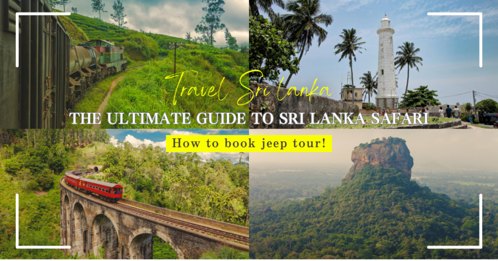 The Ultimate Guide to Sri Lanka's Top Safaris! Discover Fascinating National Parks and How to Book Your Jeep tour!