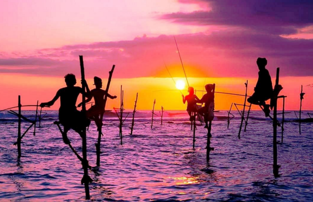 Stilt Fishermen