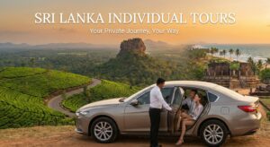 Build Your Own Local Adventure: Sri Lanka Private Tours with Driver Are a Must for Independent Travelers