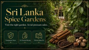 Premium editorial image for a Sri Lanka spice garden guide