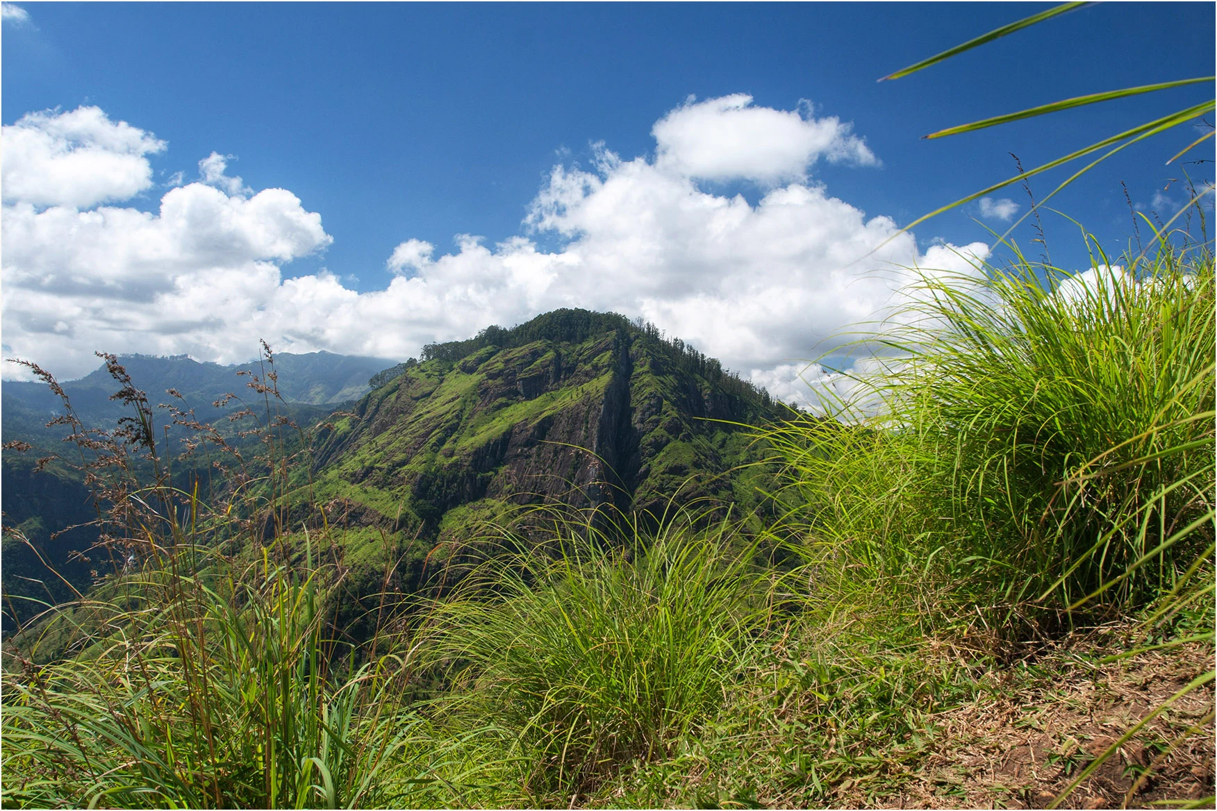 Ella Rock viewed from the Little Adam’s Peak side