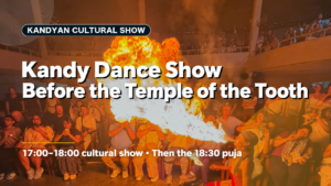 Kandyan Dance & Kandy Cultural Show Before the Temple of the Tooth