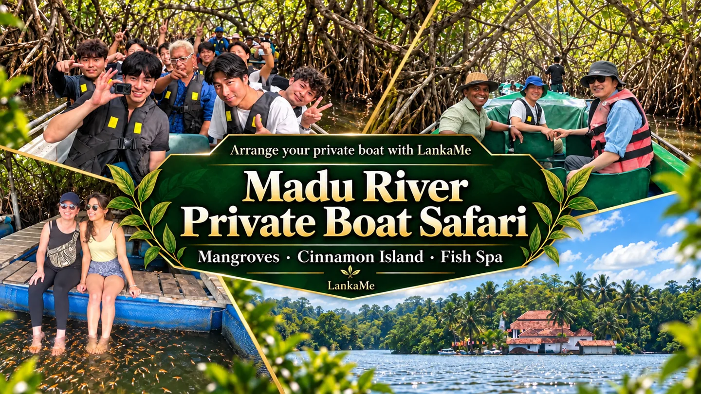 Madu River private boat safari: mangroves, Cinnamon Island and fish spa with LankaMe